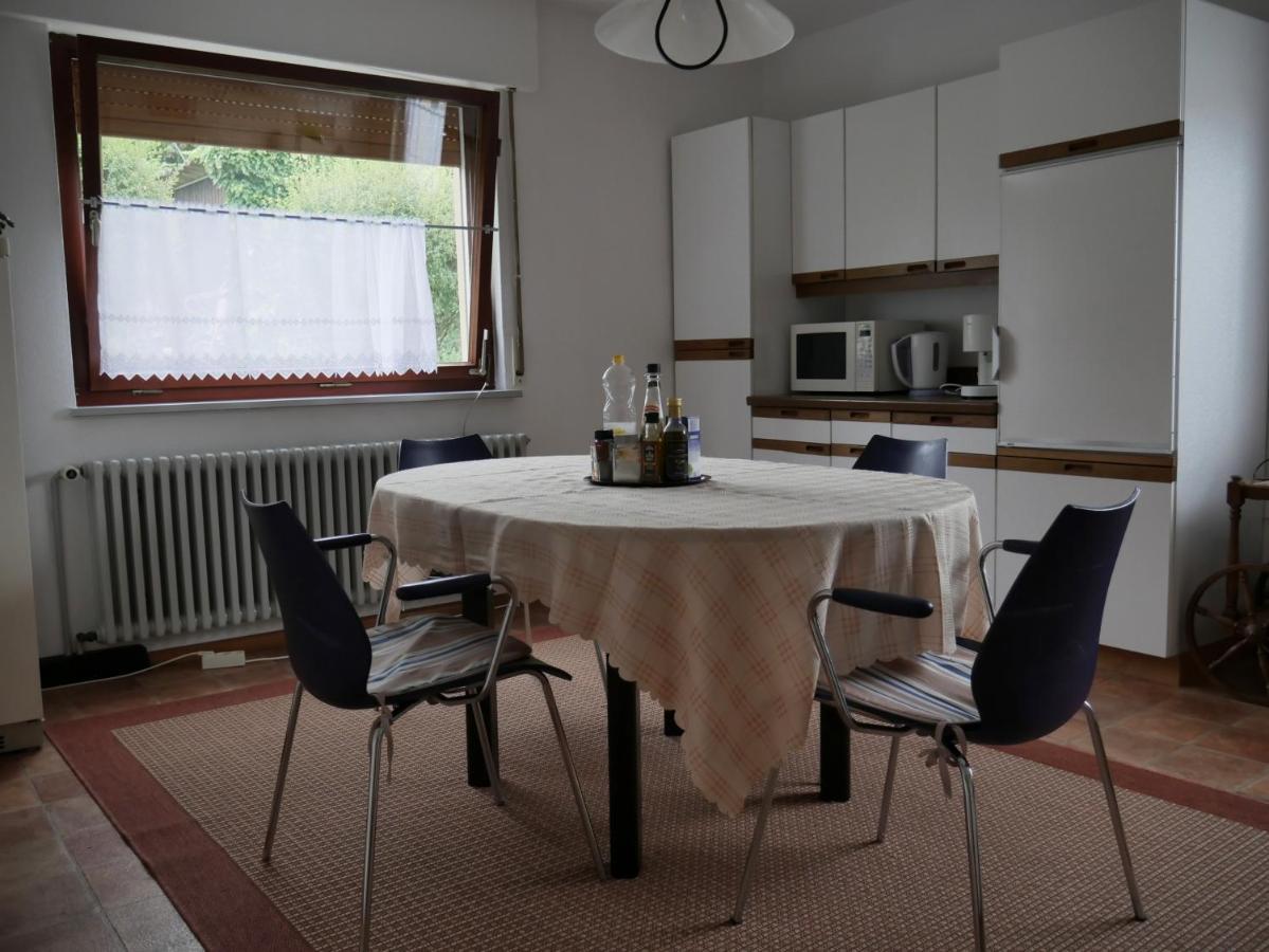 Apartment Lahr Im Schwarzwald ,120 Qm, Pool 8x4m, Nahe Europa Park Rust *
