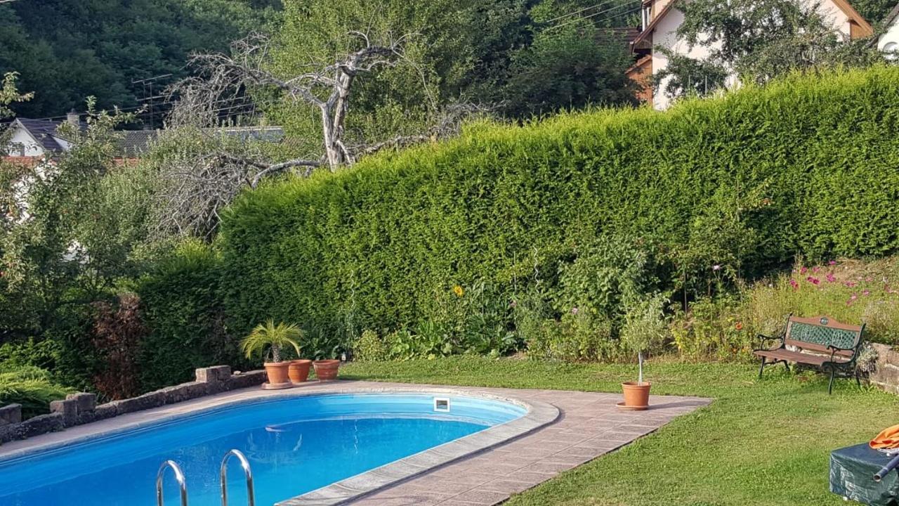 Lahr Im Schwarzwald ,120 Qm, Pool 8x4m, Nahe Europa Park Rust Apartment